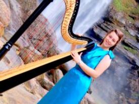 Harpist For The King - Harpist - Lilburn, GA - Hero Gallery 3
