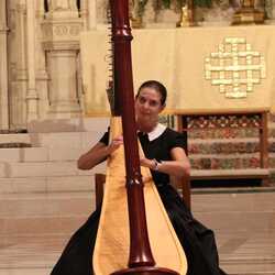 A 1 Harpist Baltimore, MD,  Washington DC, profile image