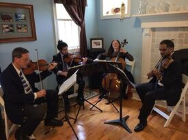 Continuo Music - String Quartet - Stamford, CT - Hero Gallery 3