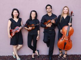 Erimos String Quartet - String Quartet - Phoenix, AZ - Hero Gallery 3