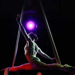 Maria Sample Circus, profile image