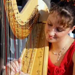 HarpingSwiss Harpist and Singer, profile image