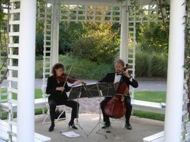 Silverleaf String Quartet - Classical Quartet - Richmond, VA - Hero Gallery 3