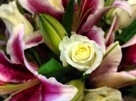 HOPE BLOOMS FLOWERS AND THINGS! - Florist - Boise, ID - Hero Gallery 4
