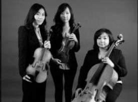 Amaris Trio - Classical Quartet - Reston, VA - Hero Gallery 2