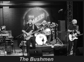 The Bushmen - Dance Band - Macon, GA - Hero Gallery 1