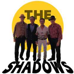 The Shadows Band, profile image