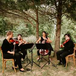 Kalkaska String Quartet, profile image