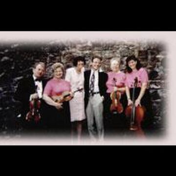 Shaw Strings - String Quartet - West Chester, PA - Hero Main