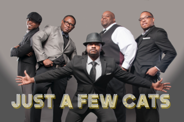 Just A Few Cats - Cover Band - Birmingham, AL - Hero Main