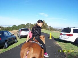Ponies R Us - Pony Rides - Martinez, CA - Hero Gallery 2