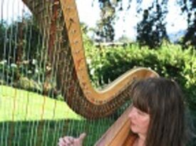 Sally Fletcher, Harpist/Pianist/Organist - Harpist - Santa Rosa, CA - Hero Gallery 3