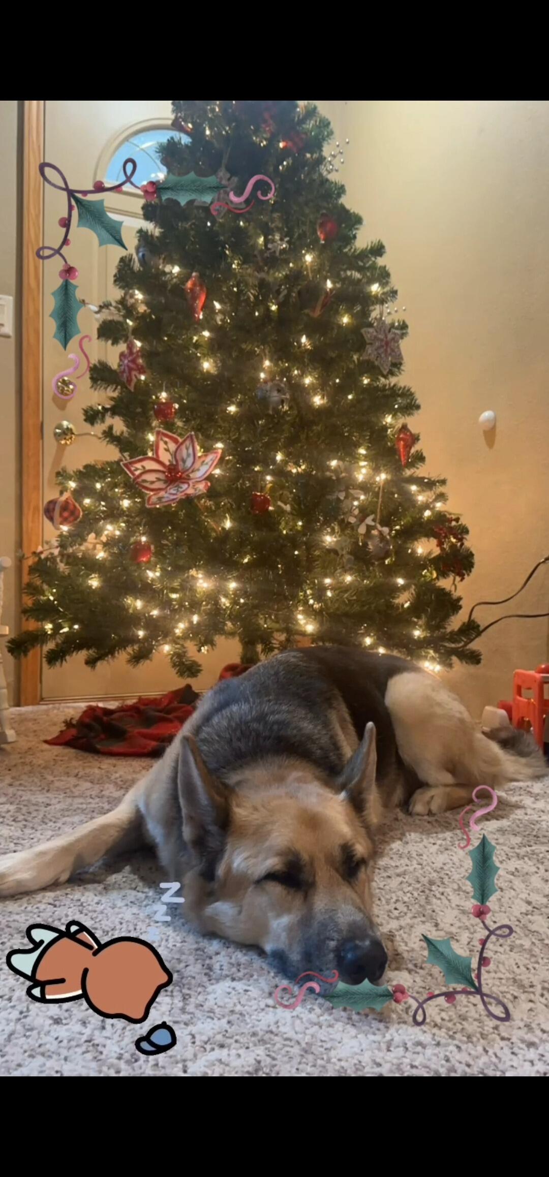 Christmas in Iowa