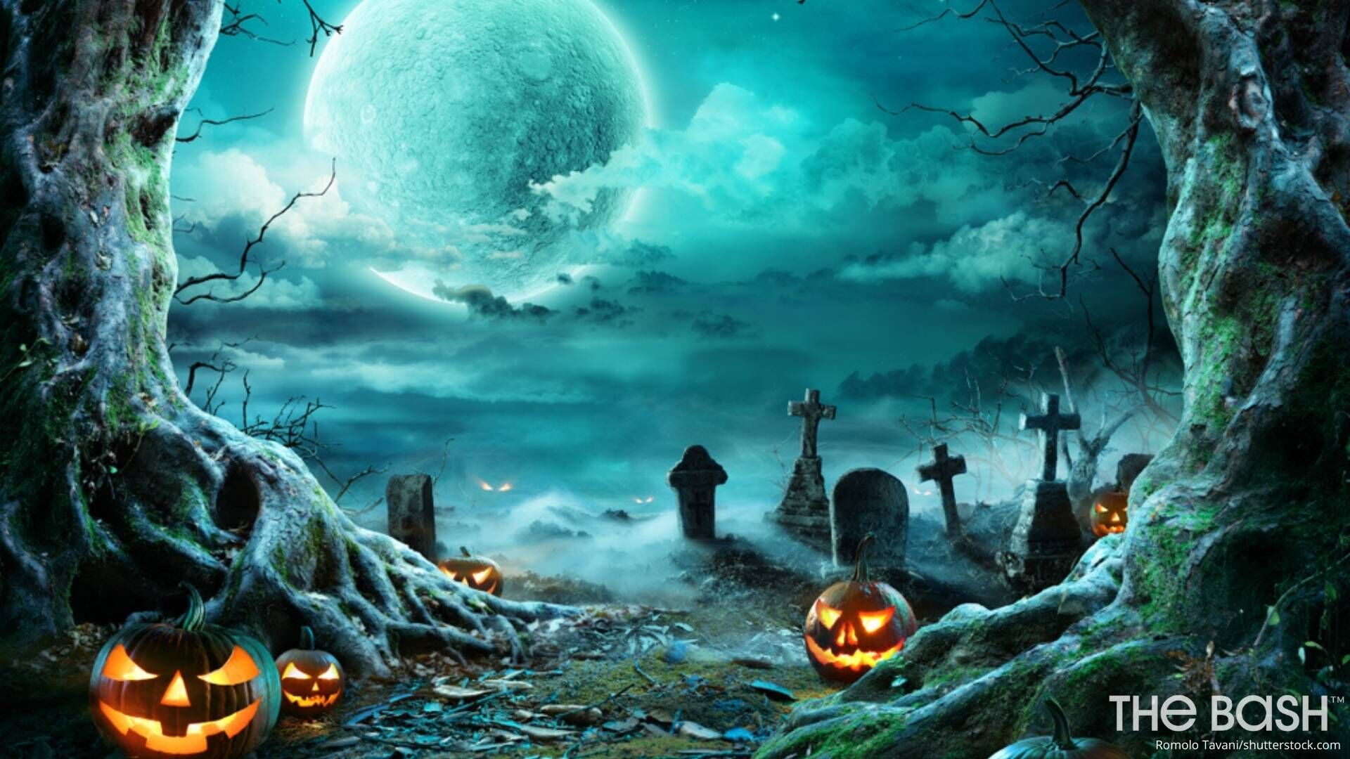 Halloween Background, Photos, and Wallpaper for Free Download