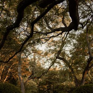 Gallery Photo 11
