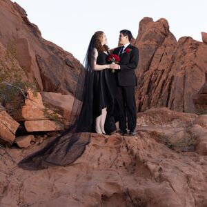 Gallery Photo 15