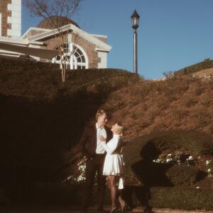 Gallery Photo 31
