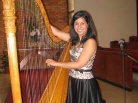 Dr. Lizary Rodriguez - Classical Harpist - Norwood, MA - Hero Gallery 4