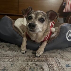 Gallery Photo 26