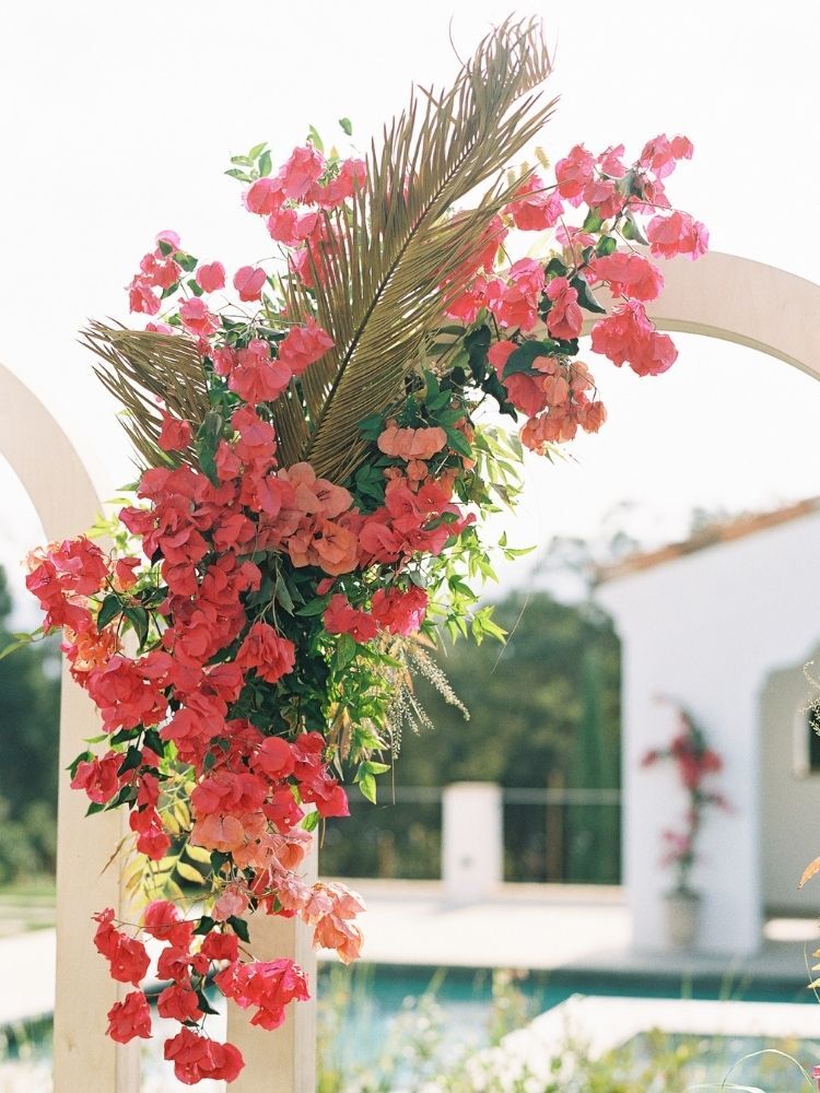 wedding arch decorated with bougainvillea