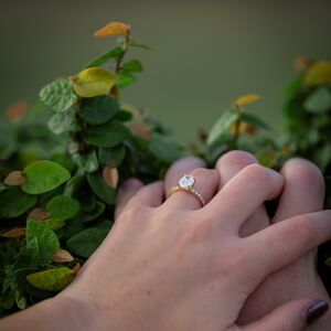 Gallery Photo 25