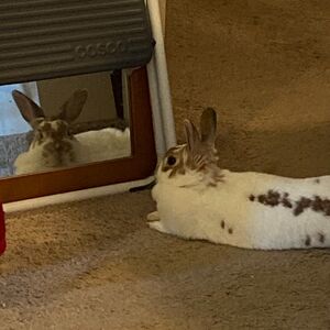 Gallery Photo 22