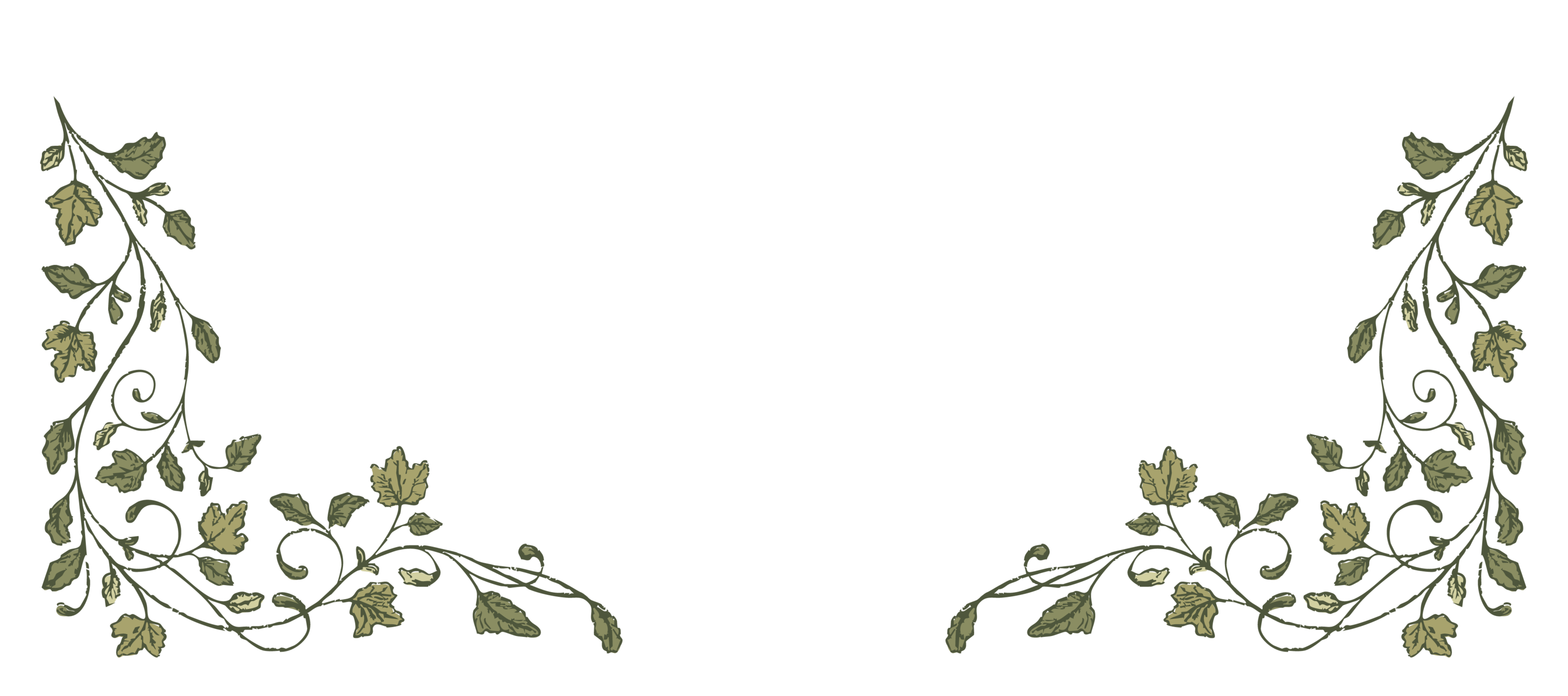 Bottom Theme Image