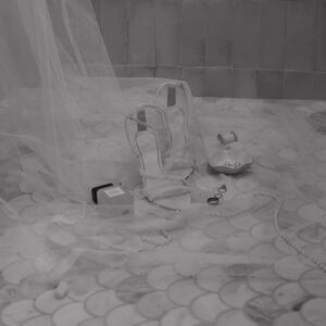 Gallery Photo 29