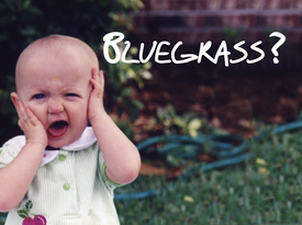 River Boy - Bluegrass Band - Charleston, SC - Hero Gallery 3