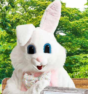 Easter Bunny Rentals by Funtime Services - Easter Bunny - Naperville, IL - Hero Main