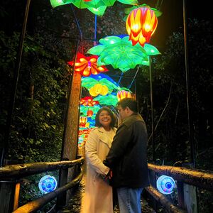 Gallery Photo 9
