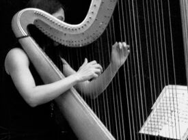 San Diego Wedding Harpist - Harpist - San Diego, CA - Hero Gallery 1