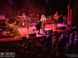 Bearly Dead (Grateful Dead & Jam Band Tribute) - Cover Band - Boston, MA - Hero Gallery 2