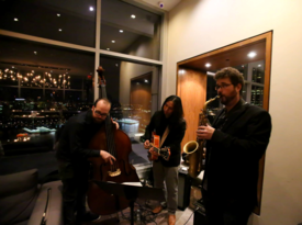 Blue Jay Acoustic Trio - Jazz Band - New York City, NY - Hero Gallery 3
