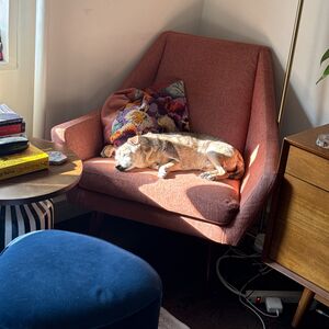 Gallery Photo 6