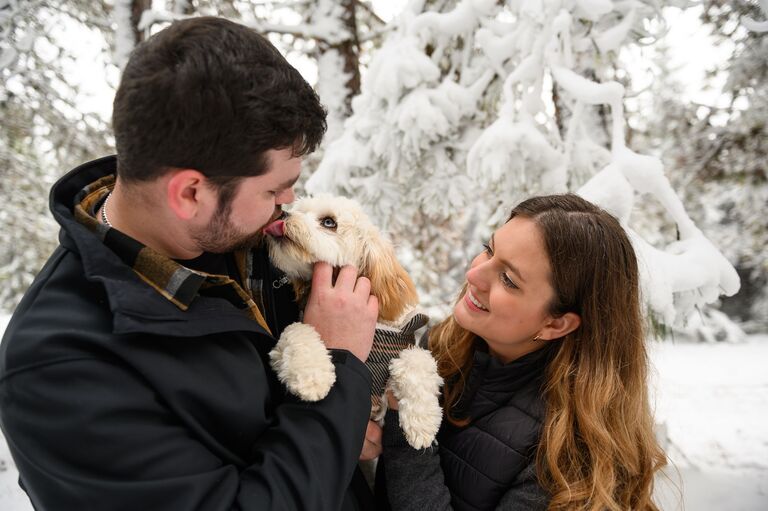 We finally start settling into our new home and jobs and start wedding planning.