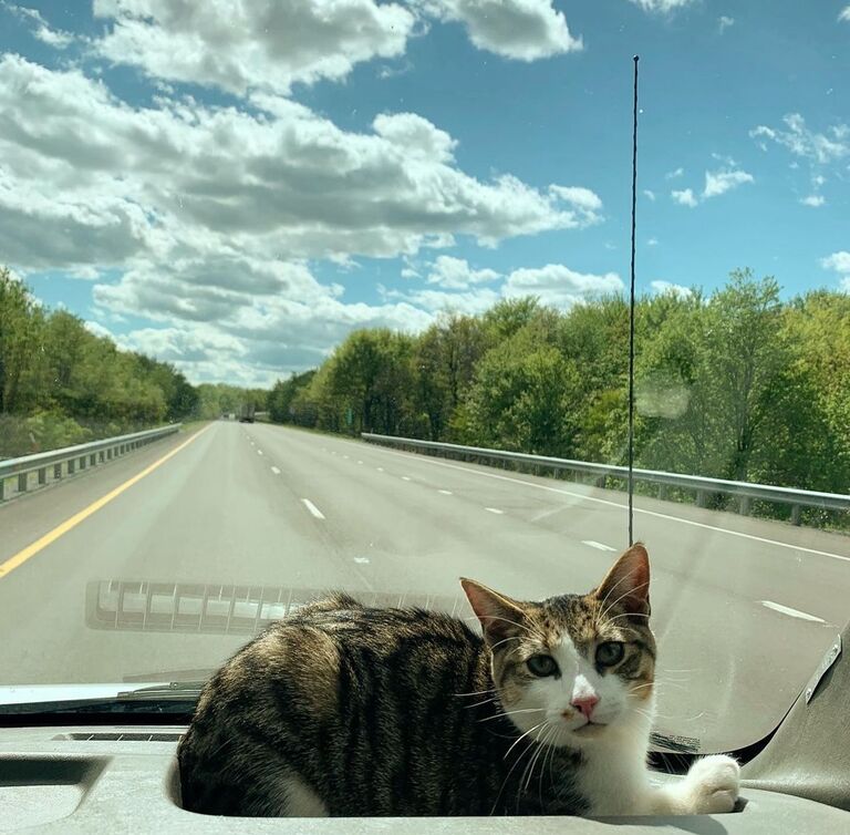 John & Savannah drive cross country back home to Nebraska, Mochi in tow.