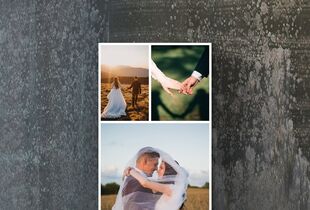 Kayley Collins and Logan Gilbert's Wedding Website - The Knot