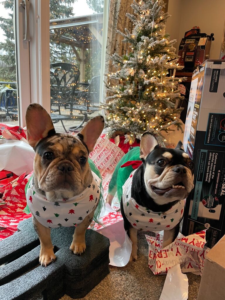 Our First Christmas with our babies  🤍