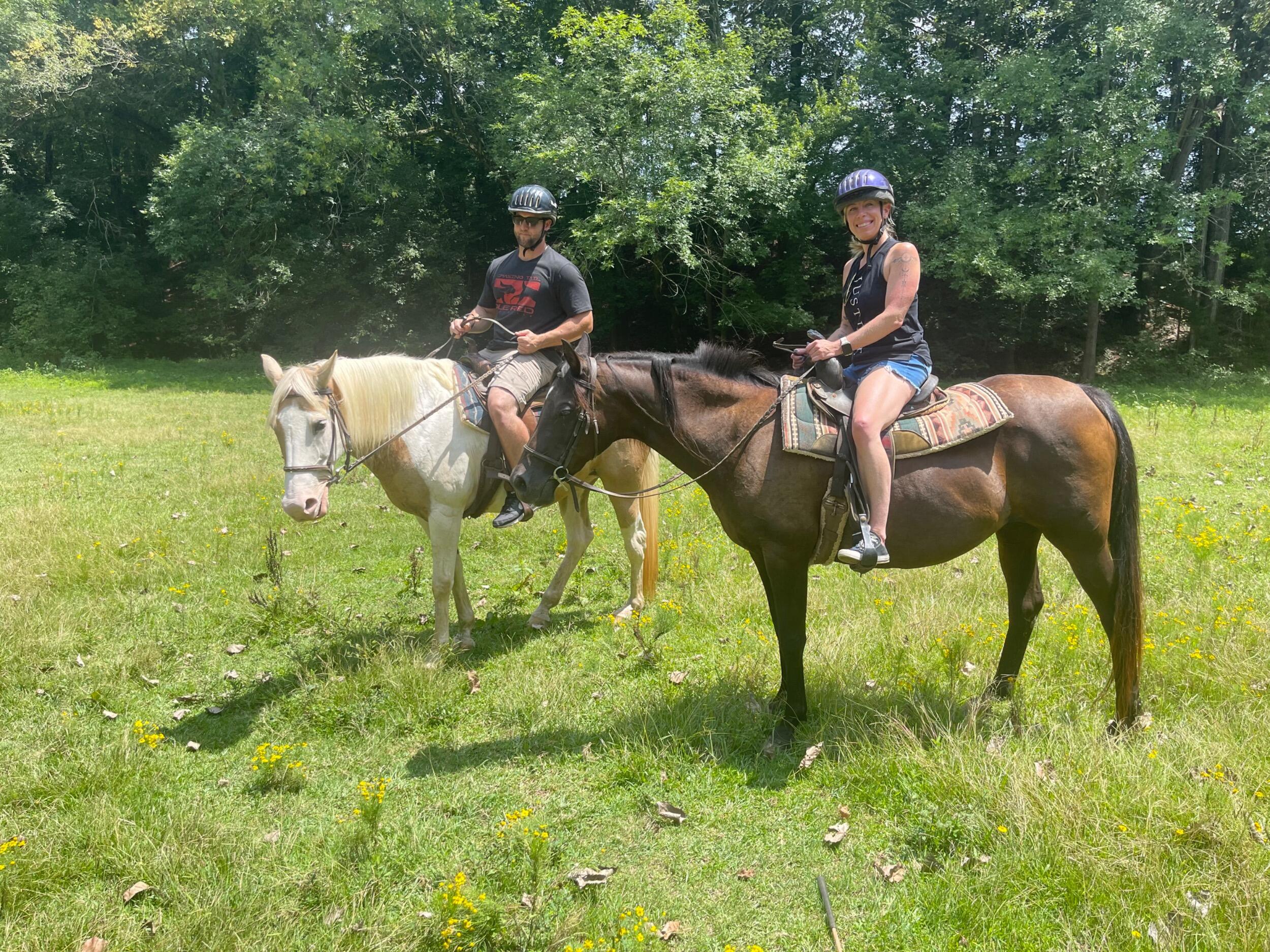 A little horsing around. 