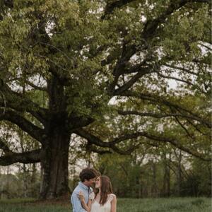 Gallery Photo 26