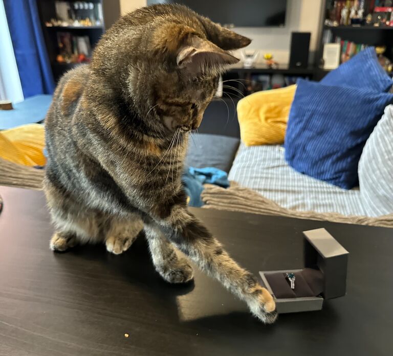 ... who promptly yeeted the ring across the room in a tantrum