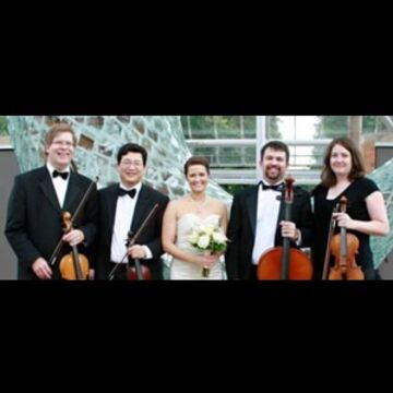 Campion String Quartet - String Quartet - Rochester, MN - Hero Main