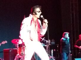 Elvis as Rick Ricketts - Elvis Impersonator - Delray Beach, FL - Hero Gallery 1