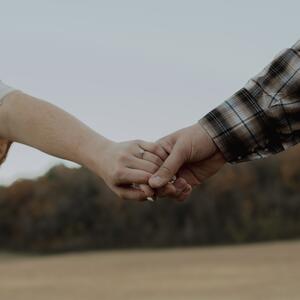 Gallery Photo 8