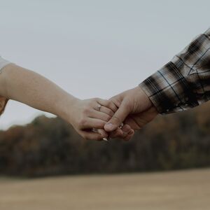 Gallery Photo 8