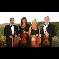 Gewoon Ronde Vlek Top String Quartets for Hire in San Diego, CA - The Bash