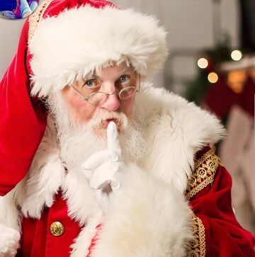 The Perfect Santa - Santa Claus - Birmingham, AL - Hero Main