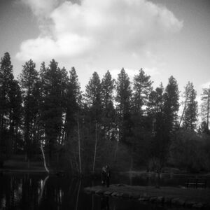 Gallery Photo 84