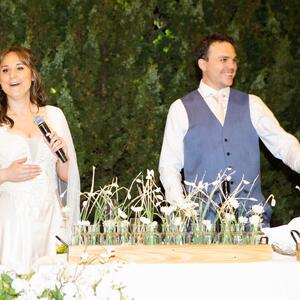 Gallery Photo 335